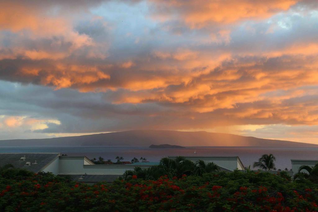 Wailea Ekolu #607 Villa Dış mekan fotoğraf